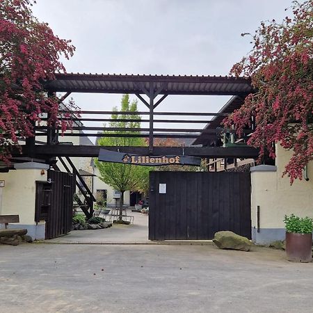 Besondere Ferienwohnung Spirit Auf Idyllischem Reiterhof Nahe Burg Eltz Munstermaifeld Екстер'єр фото