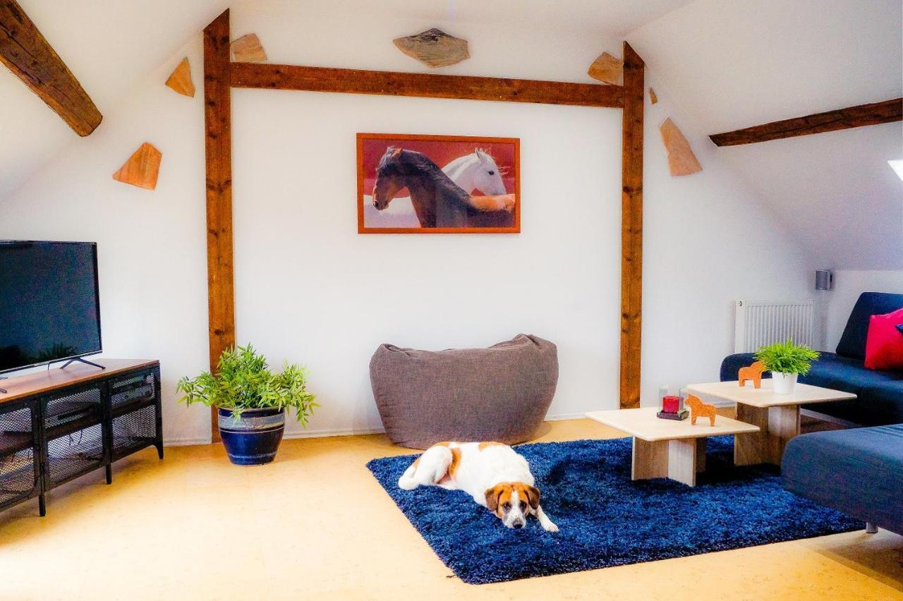 Besondere Ferienwohnung Spirit Auf Idyllischem Reiterhof Nahe Burg Eltz Munstermaifeld Екстер'єр фото
