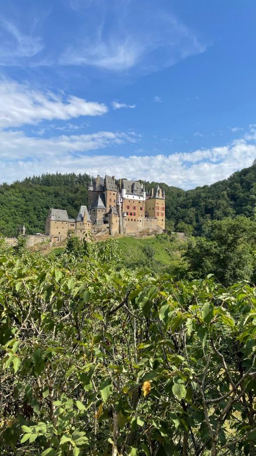 Besondere Ferienwohnung Spirit Auf Idyllischem Reiterhof Nahe Burg Eltz Munstermaifeld Екстер'єр фото